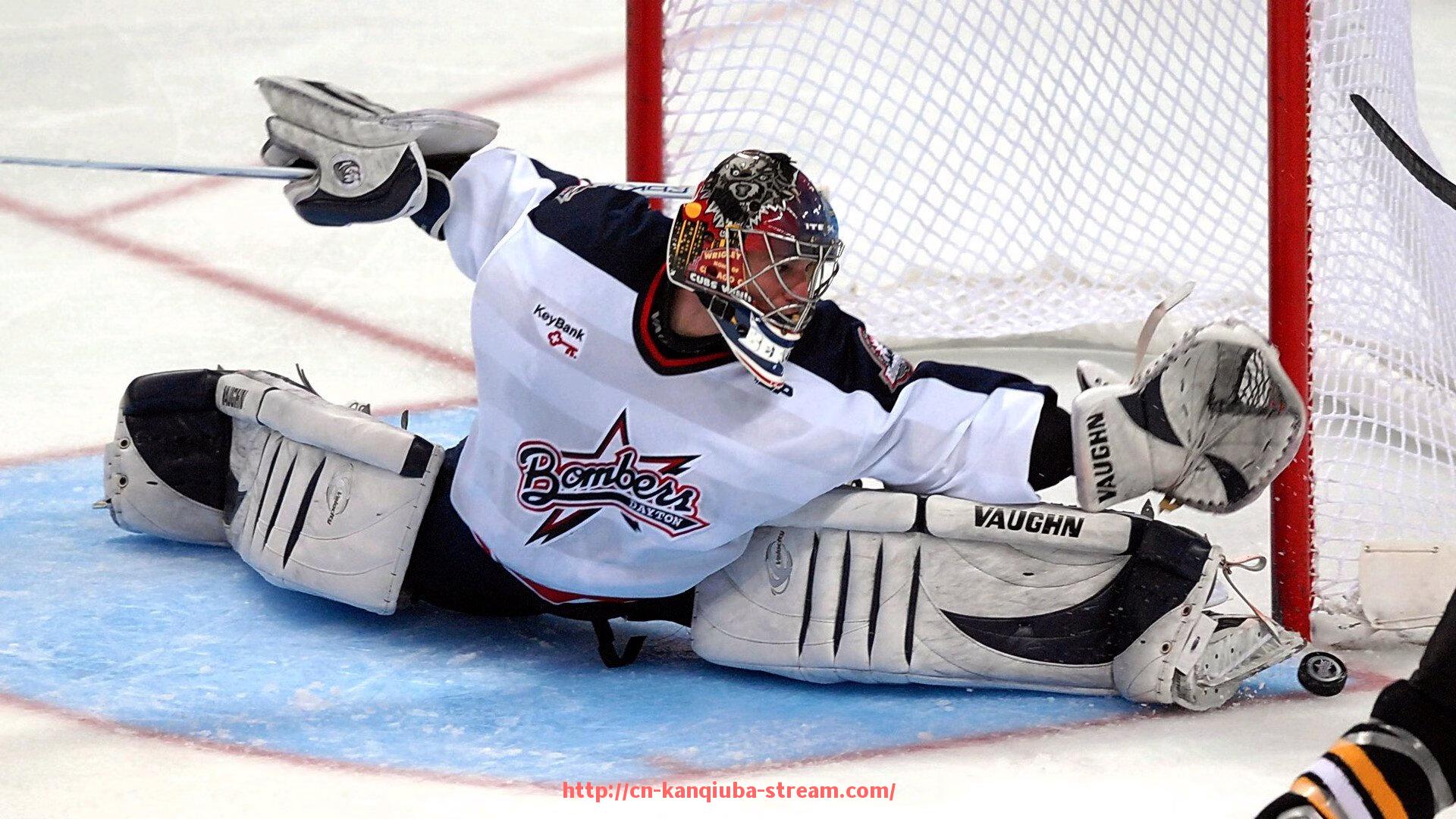 看球吧直播-德甲全部球队队徽合照：视觉统一与设计差异